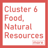 Cluster_6_en